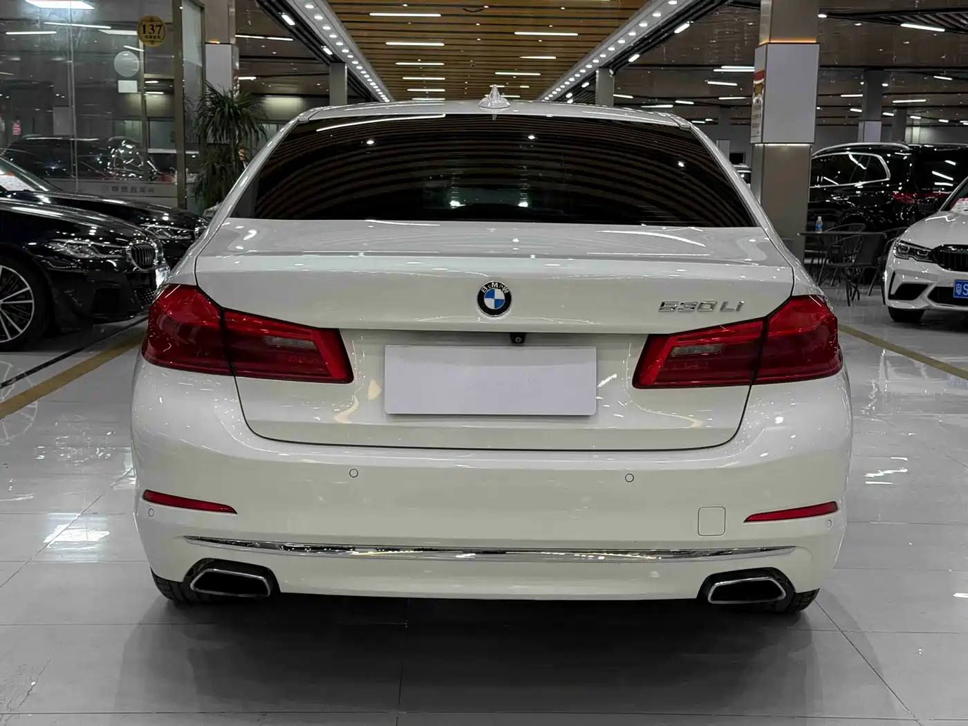 BMW 5 Series 2019 530Li Leading Luxury Package фото 5