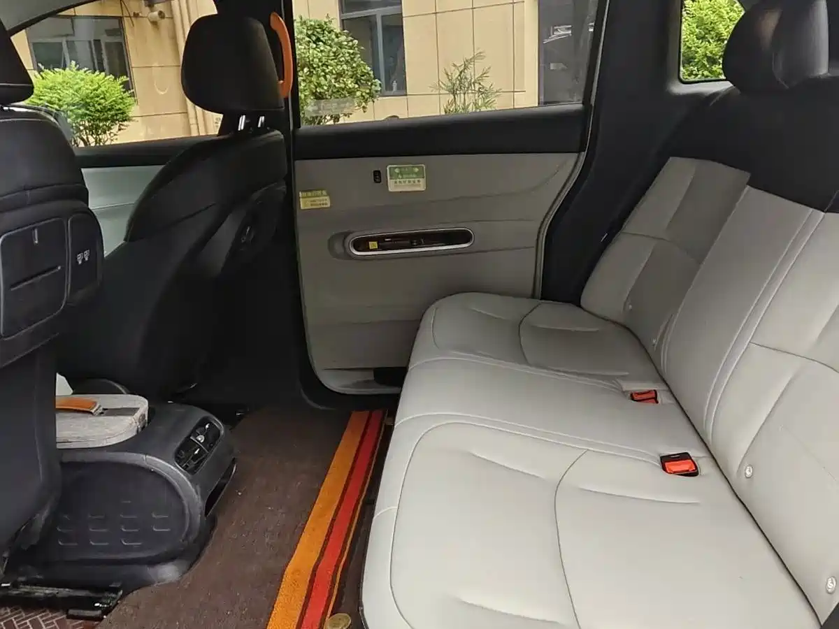 BYD D1 2020 2021 Pioneer Edition