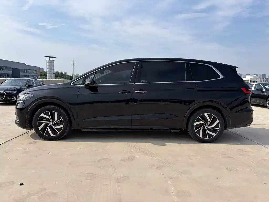 Фото 4 - Volkswagen Viloran