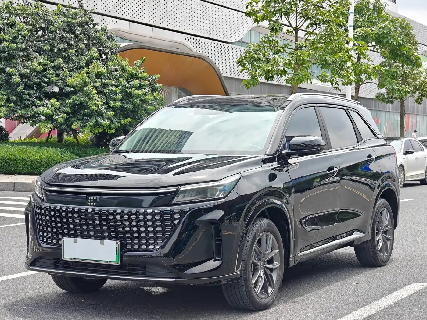 Landian Landian E5 2024 Glory Edition 100KM Premium Type 7-Seater