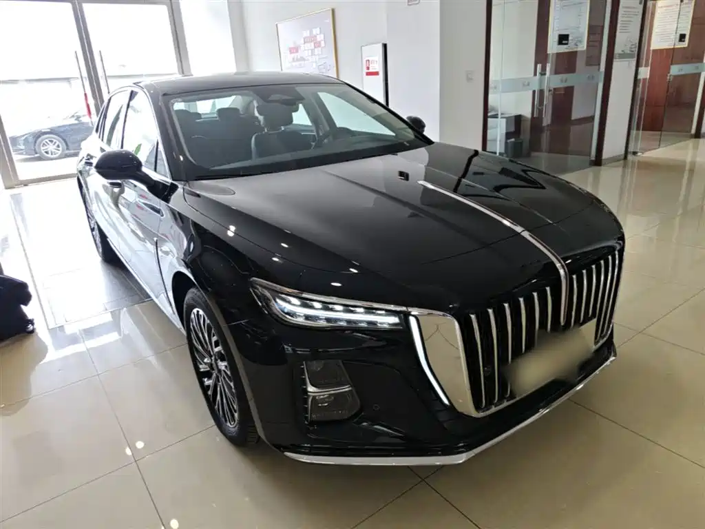 Hongqi H5 2025 2.0T Automatic Flag Celebration 500,000 Units Anniversary Edition фото 4