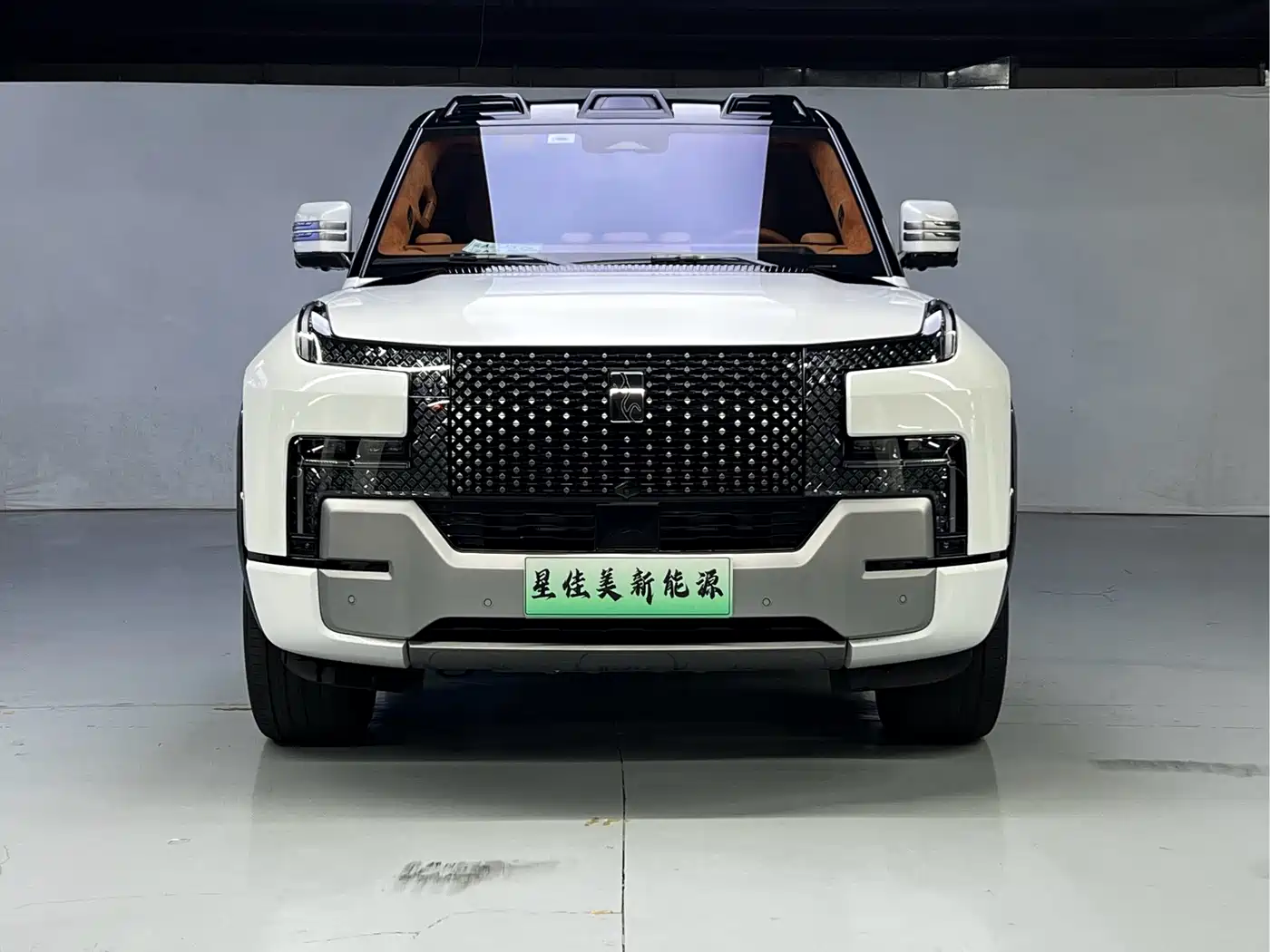 Yangwang U8 2024 2023 Luxury Edition