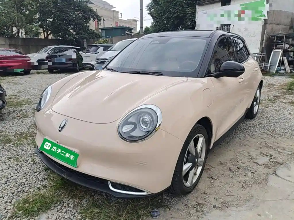 Ora Good Cat 2023 2023 401km Standard Range Luxury LFP