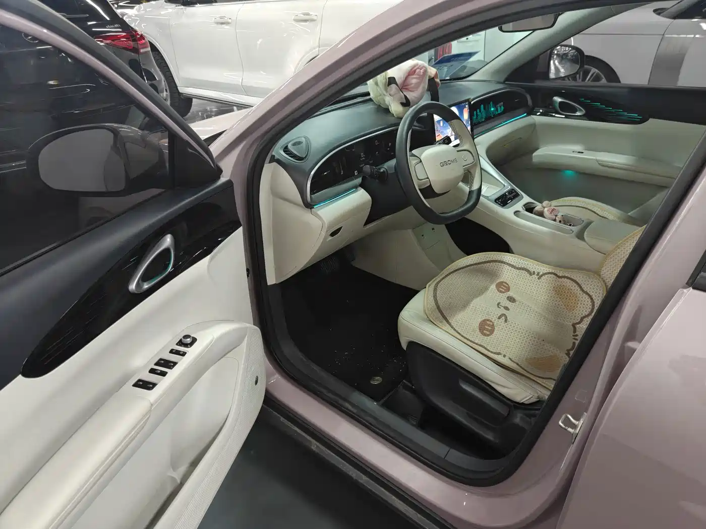 Geely Galaxy Starry Wish 2025 2025 310km Youth Edition