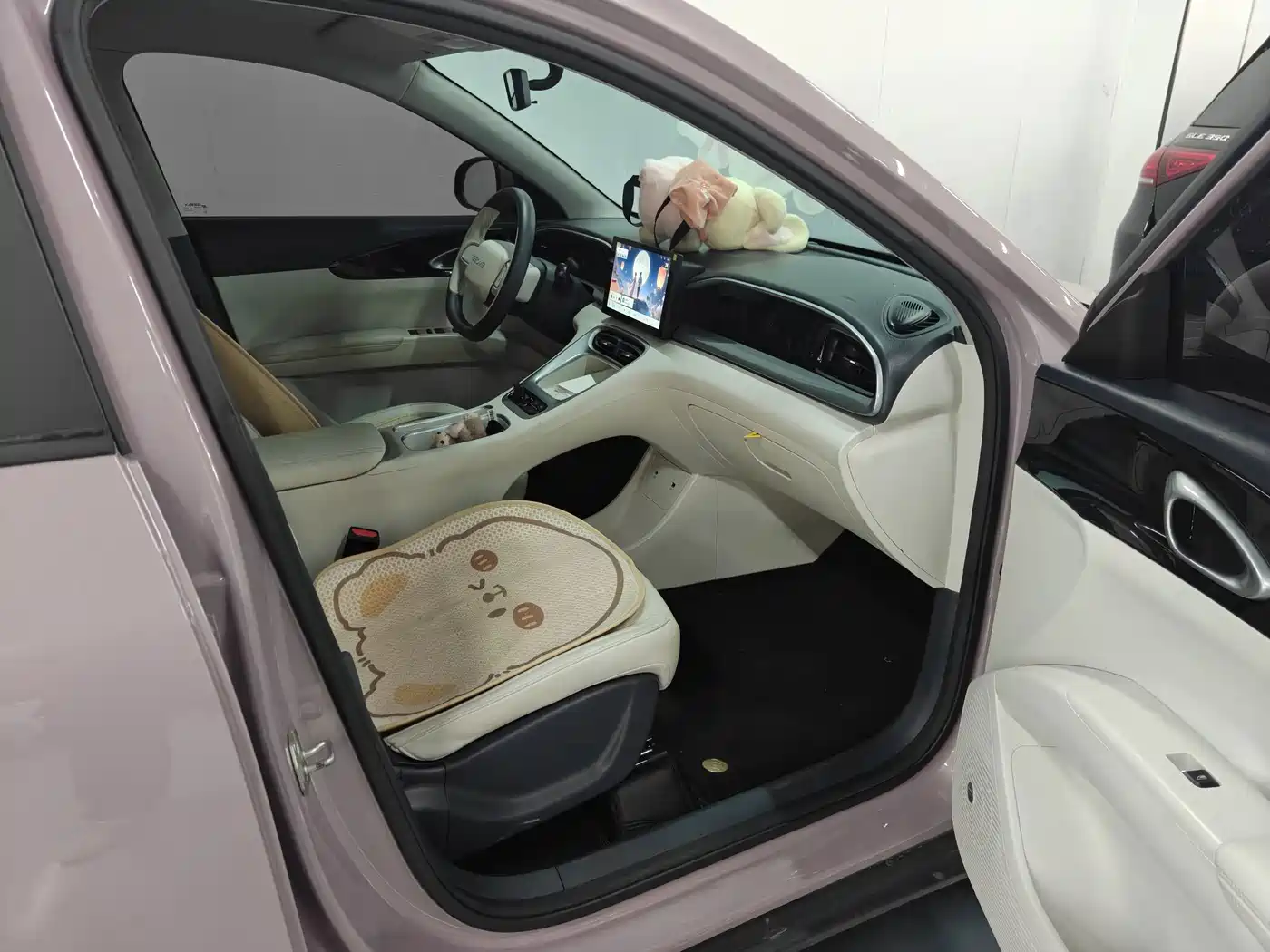 Geely Galaxy Starry Wish 2025 2025 310km Youth Edition