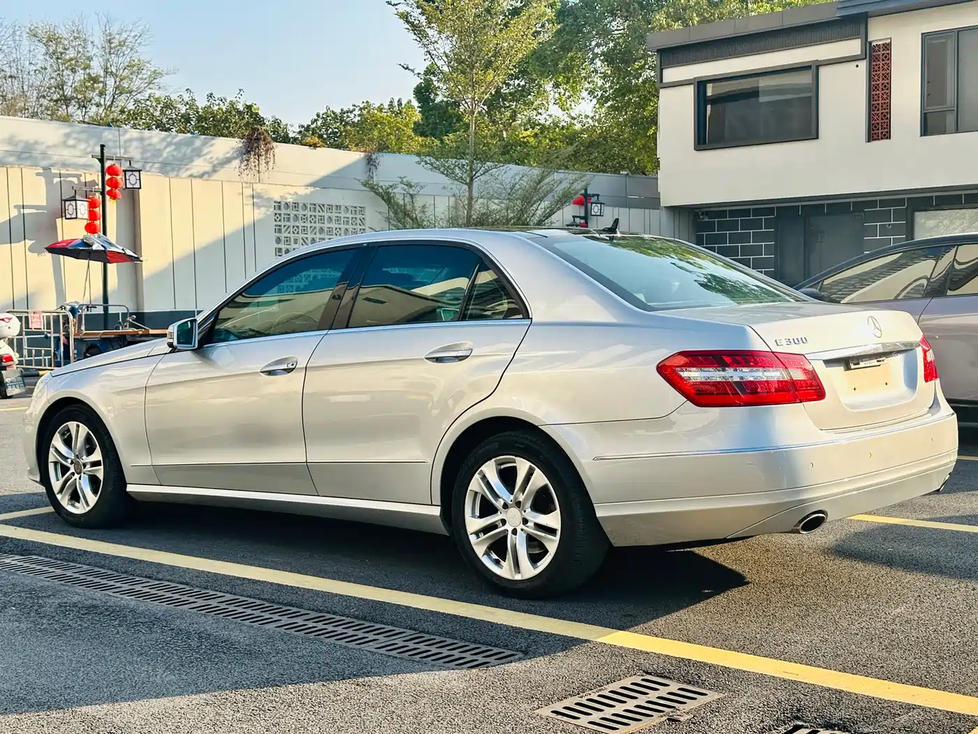 Mercedes-Benz E-Class 2010 E 300 L Fashion фото 6
