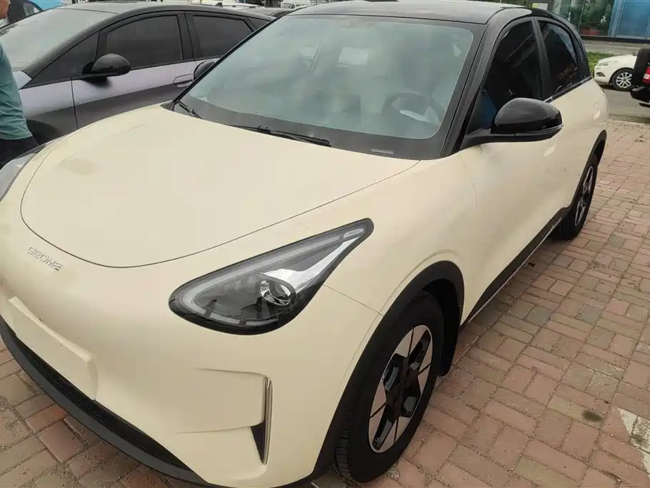Geely Galaxy Starry Wish 2025 310km Youth Edition