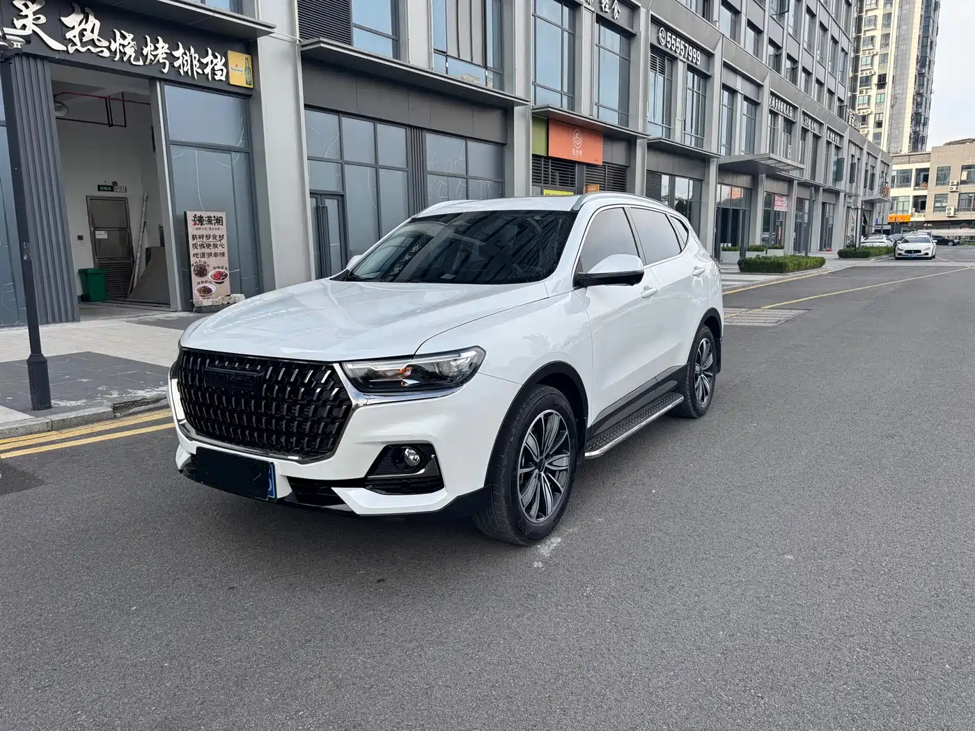  Haval Haval H6 2023 National Trend Edition 1.5T Automatic Champion