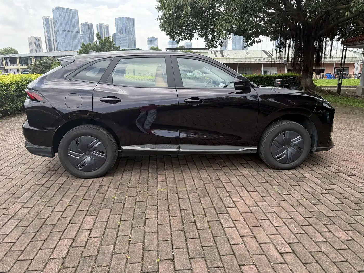 Dongfeng Fengxing Stellar X5 2025 2025 Pilot Edition