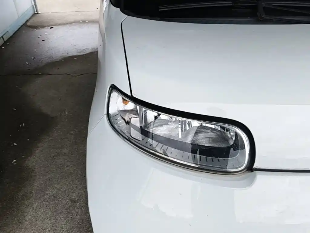 Ora White Cat 2021 2020 305km Luxury