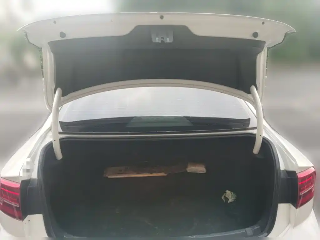Volkswagen Lamando, миниатюра 15