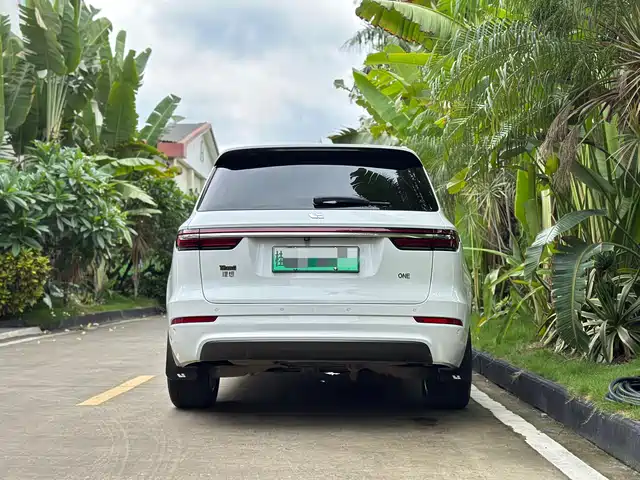 Li Auto Li ONE 2020 Extended Range 6-seater — фото 4