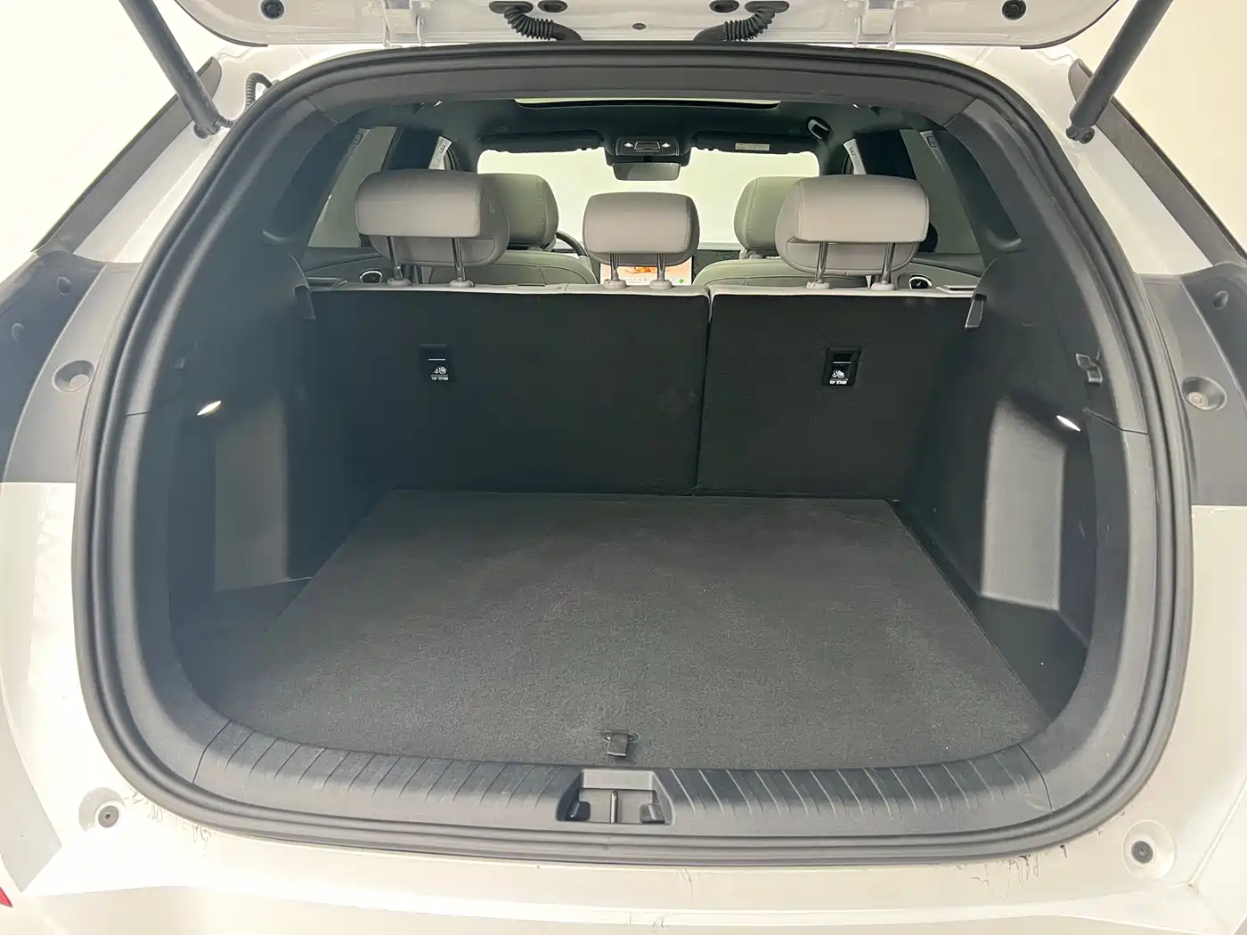 BYD SEA LION 06 NEW ENERGY