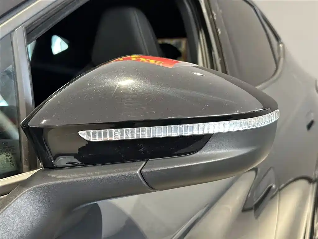 VOLKSWAGEN WITH THE CROWD 06