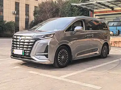 Denza D9