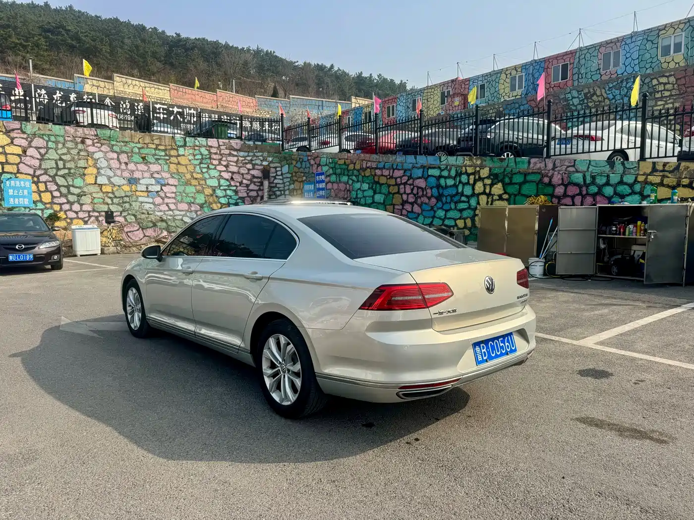 Volkswagen Magotan 2017 330TSI DSG Luxury фото 7
