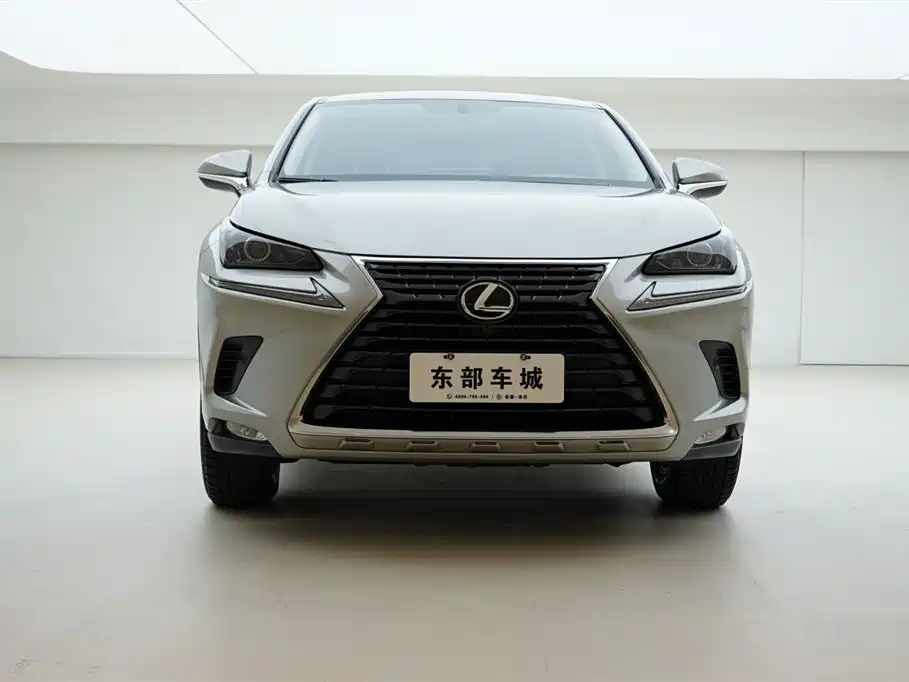 Lexus NX 2018 Model 300 FWD Fengxing Edition фото 2