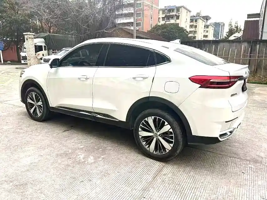 Фото 7 - Haval F7x