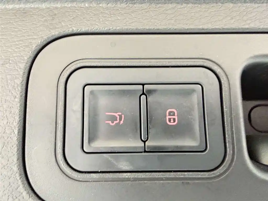 BYD Tang New Energy 2025 Smart Driving Edition DM-i 115KM Flagship фото 28
