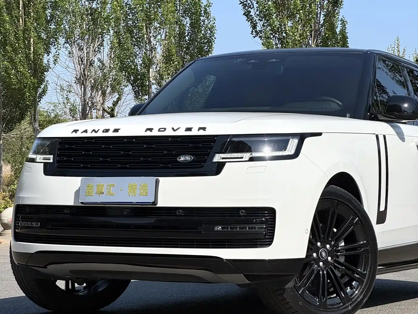 Land Rover Range Rover 2023 3.0 L6 400PS Golden Age 7-Seater Long Wheelbase фото 6