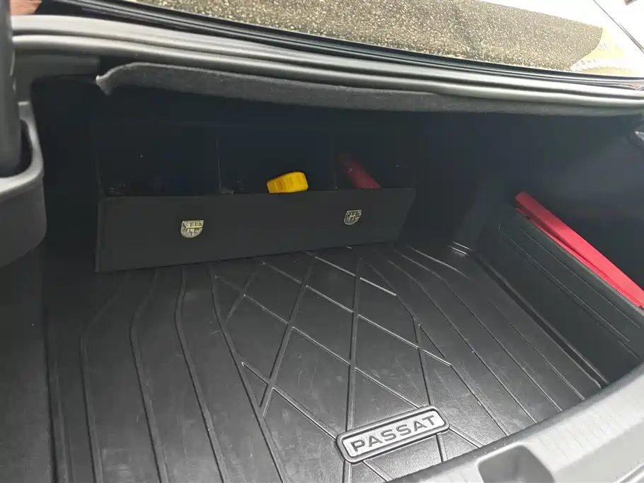 Volkswagen Passat 2025 Pro 380TSI Dragon Prestige Edition фото 4