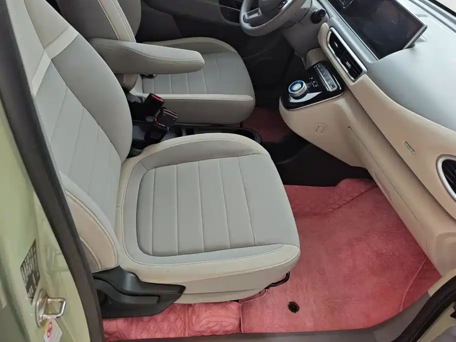 Ora White Cat 2022 2020 305km Luxury