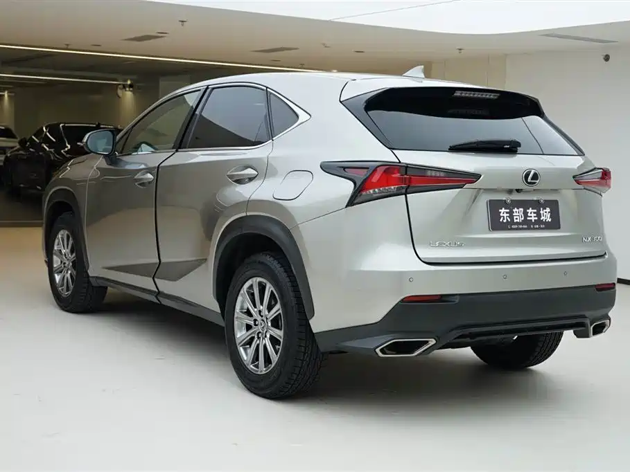 Lexus NX 2018 Model 300 FWD Fengxing Edition фото 4