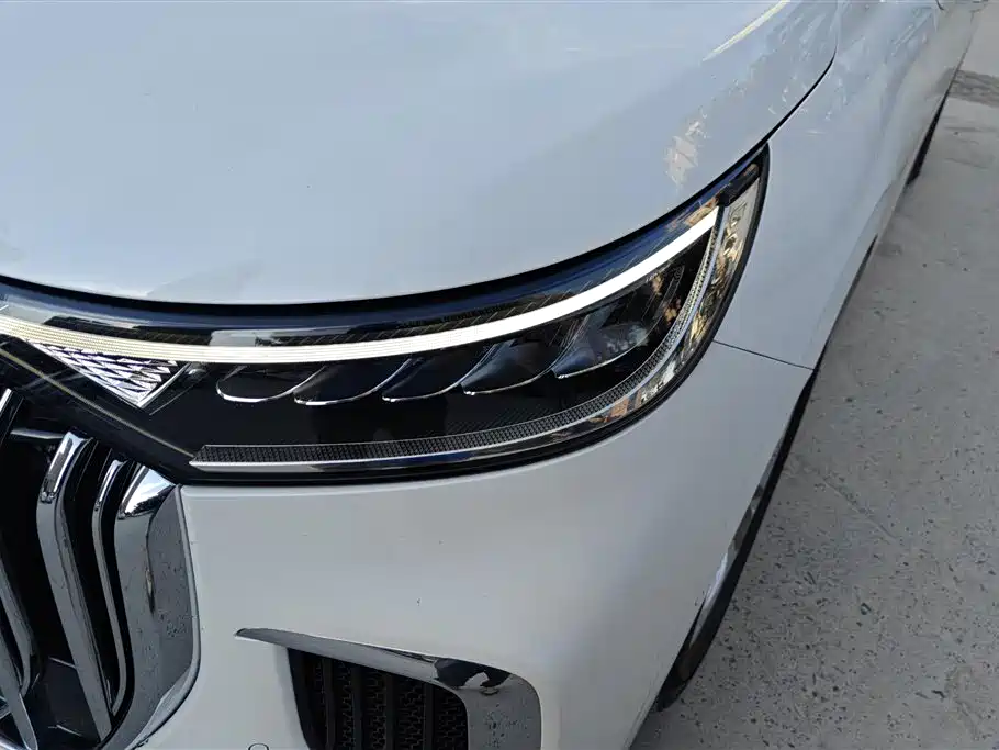 Voyah Auto Voyah Dreamer 2024 PHEV Extended Range Premium Edition фото 5