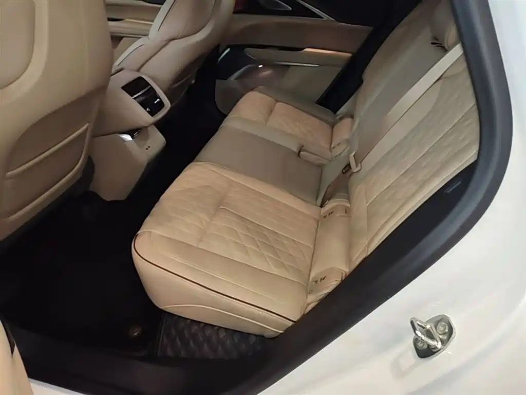 Cadillac IQ Rui Ge 2022 Rear-Wheel Drive Long Range Premium Edition фото 17