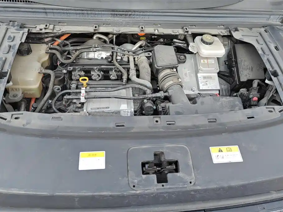 Voyah Auto Voyah Dreamer 2024 PHEV Extended Range Premium Edition фото 10
