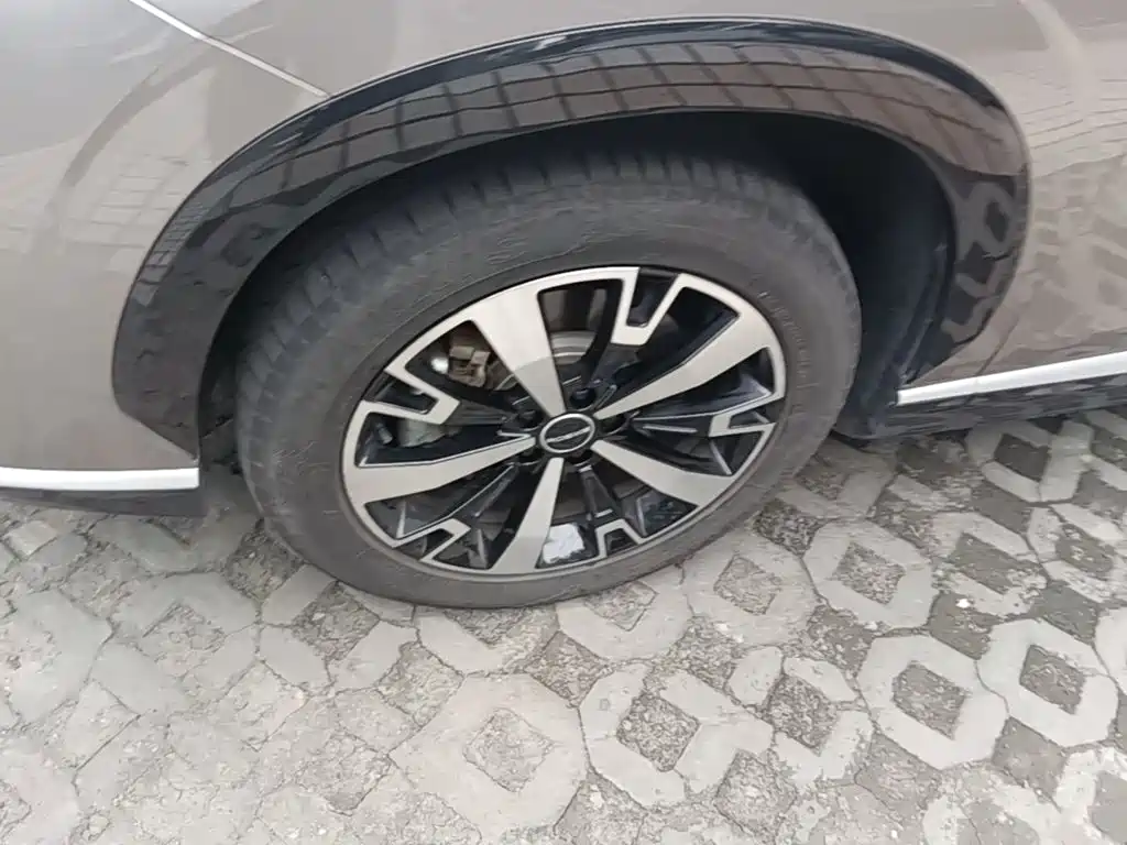 Roewe D5X DMH 2024 2024 Model 135 Technology Edition
