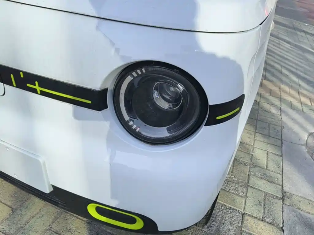 Geely Galaxy Panda 2026 2025 Panda mini 210km Vitality Bear