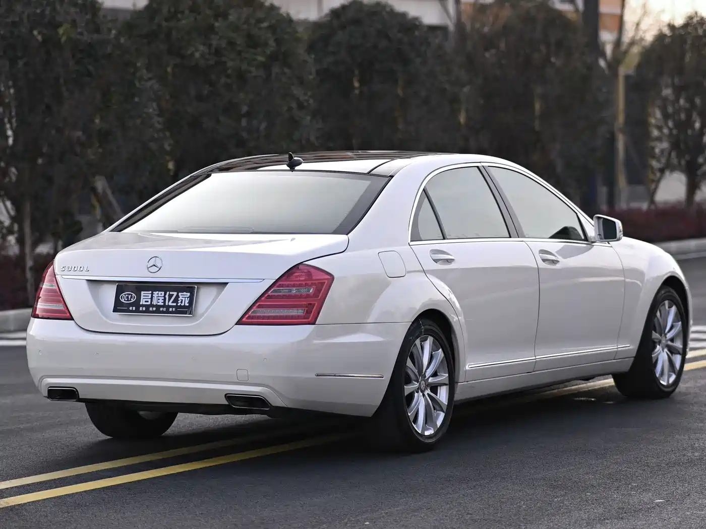 Mercedes-Benz S-Class 2010 S 300 L Luxury фото 16