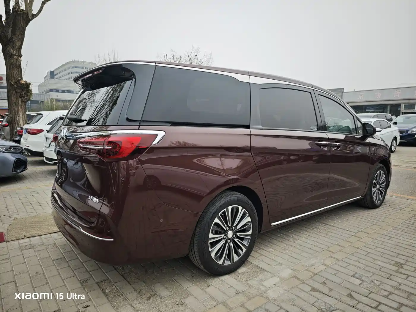 Buick GL8 2022 ES Landmark 653T Luxury фото 22