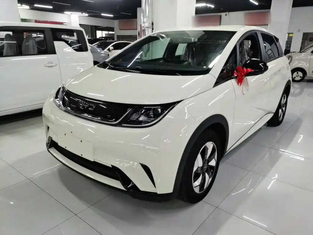 Фото 2 - BYD Dolphin