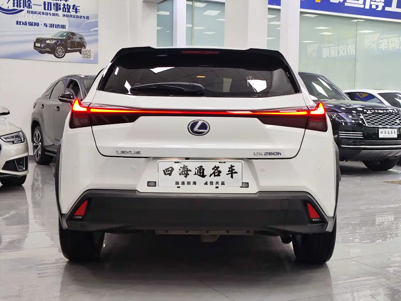 Lexus UX 2020 260h Explore Cool Edition China V фото 16