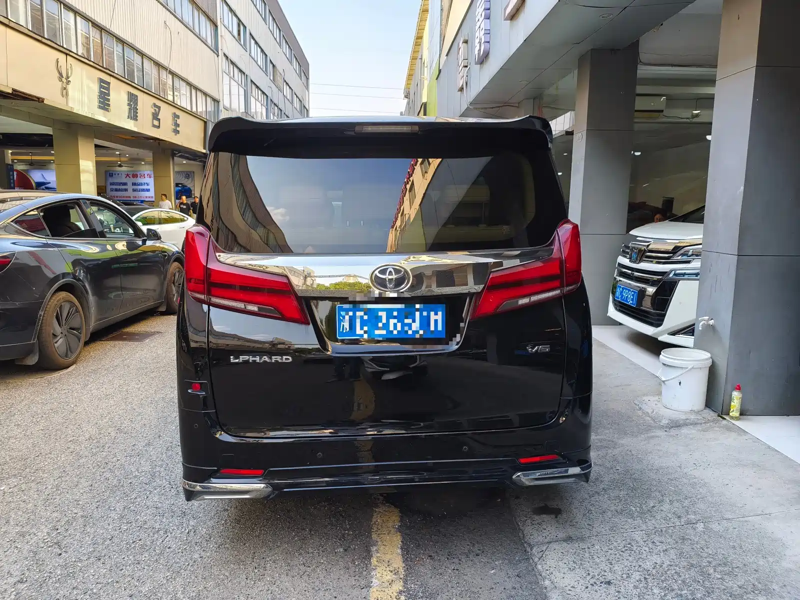 Фото 7 - Toyota Alphard