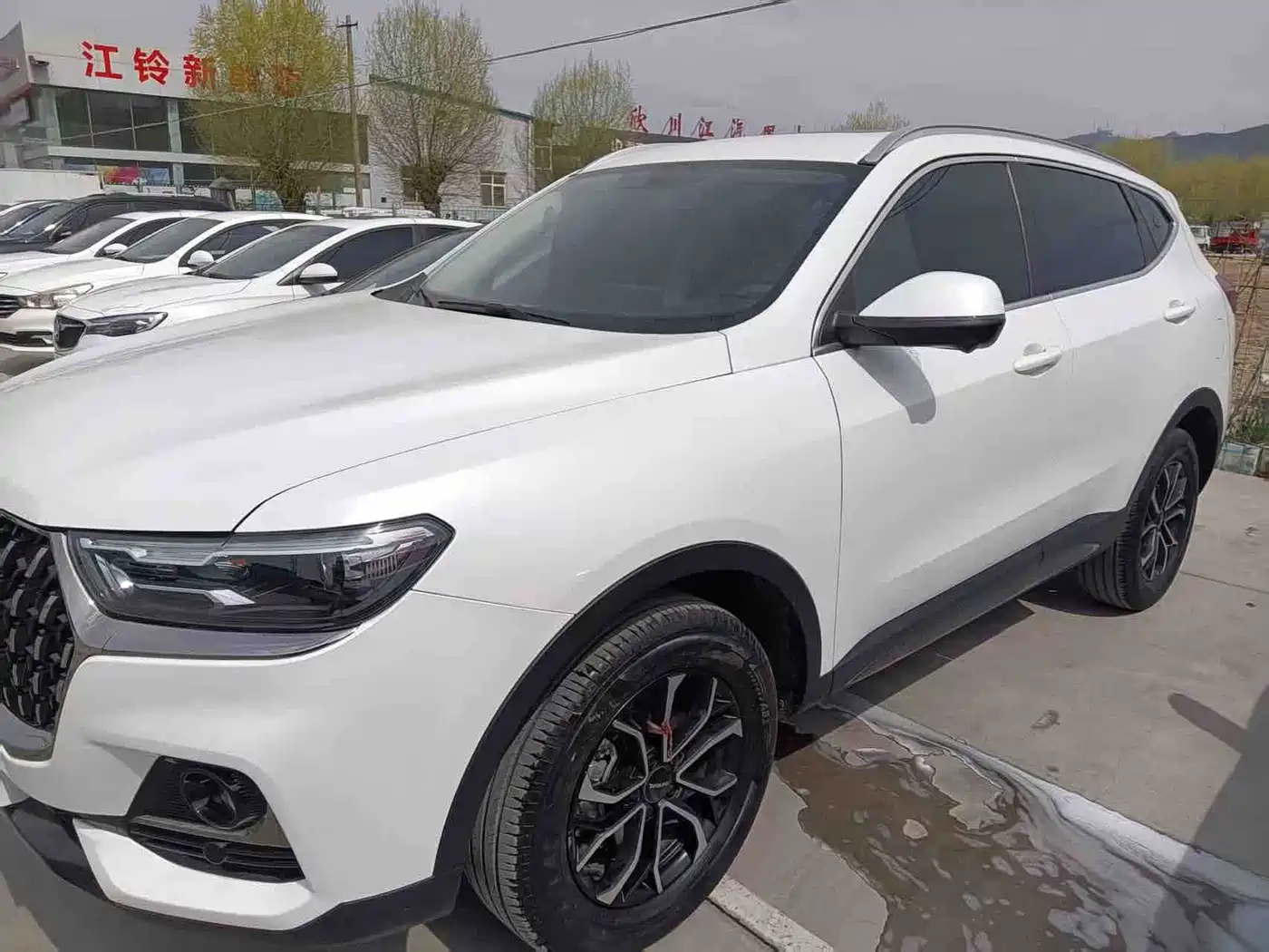 HAVAL H6