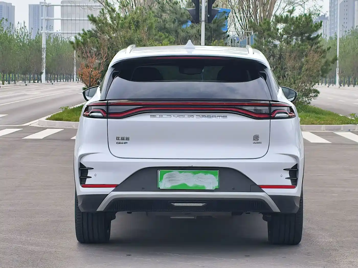 BYD Tang New Energy 2024 2024 DM-p Champion Edition 215KM 4WD Premium
