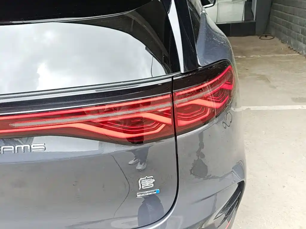 BYD Tang New Energy 2025 2025 Smart Driving Edition DM-i 115KM Premium