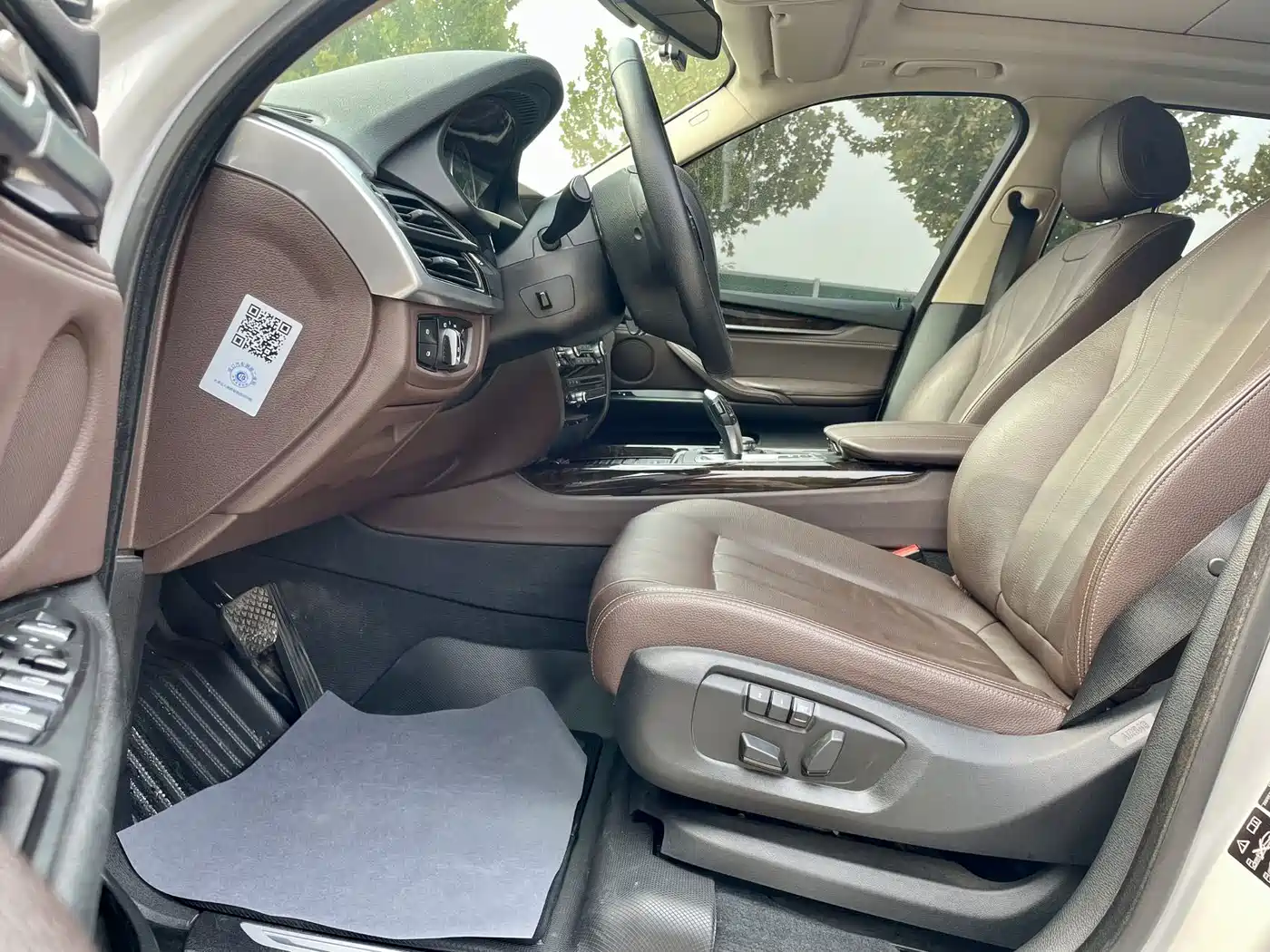 BMW X5 (Import) 2014 xDrive35i Elegance фото 6