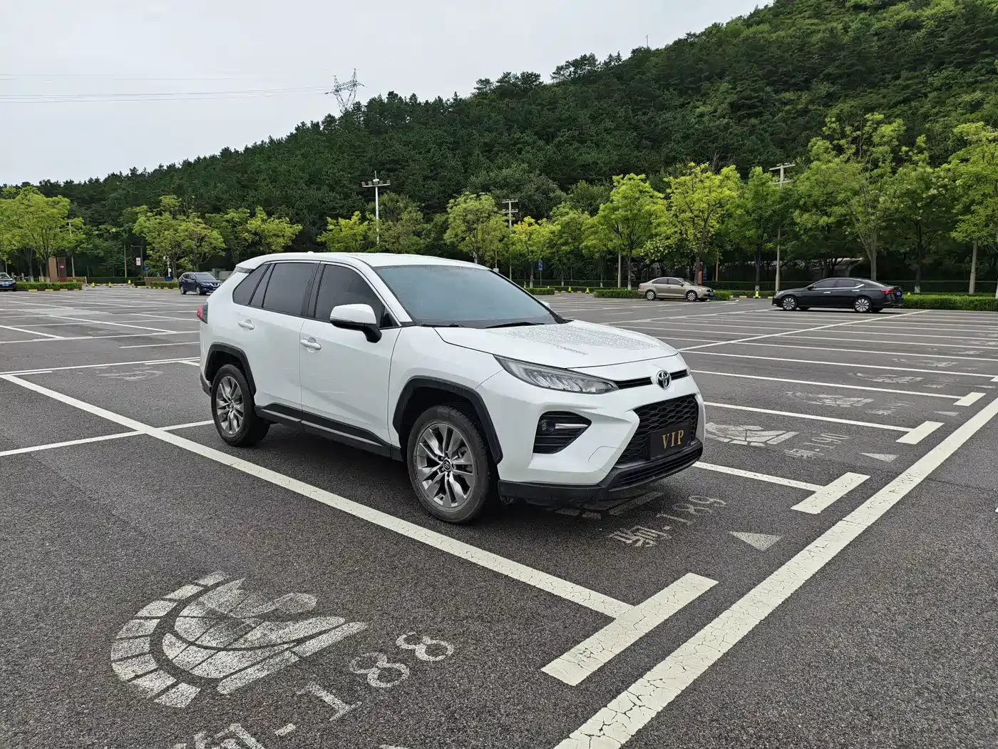 Toyota Wildlander 2023 2024 2.0L CVT FWD Leading Edition