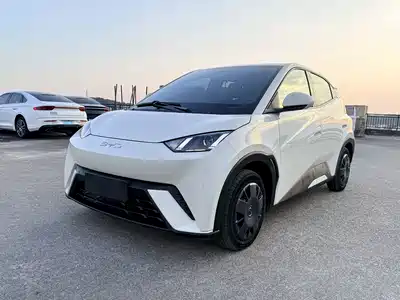 BYD Seagull