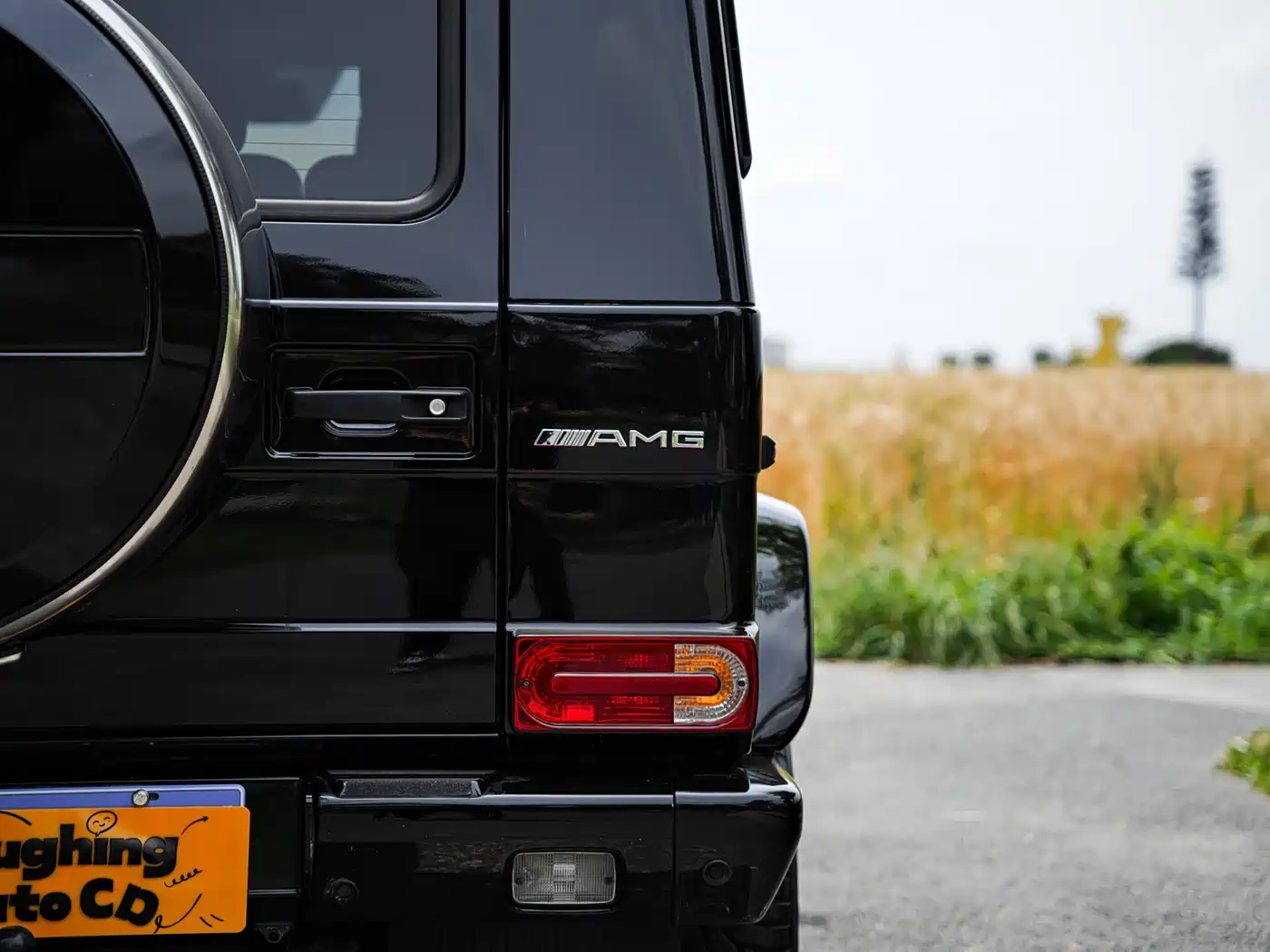 Mercedes-Benz G-Class AMG 2009 AMG G 55 фото 13