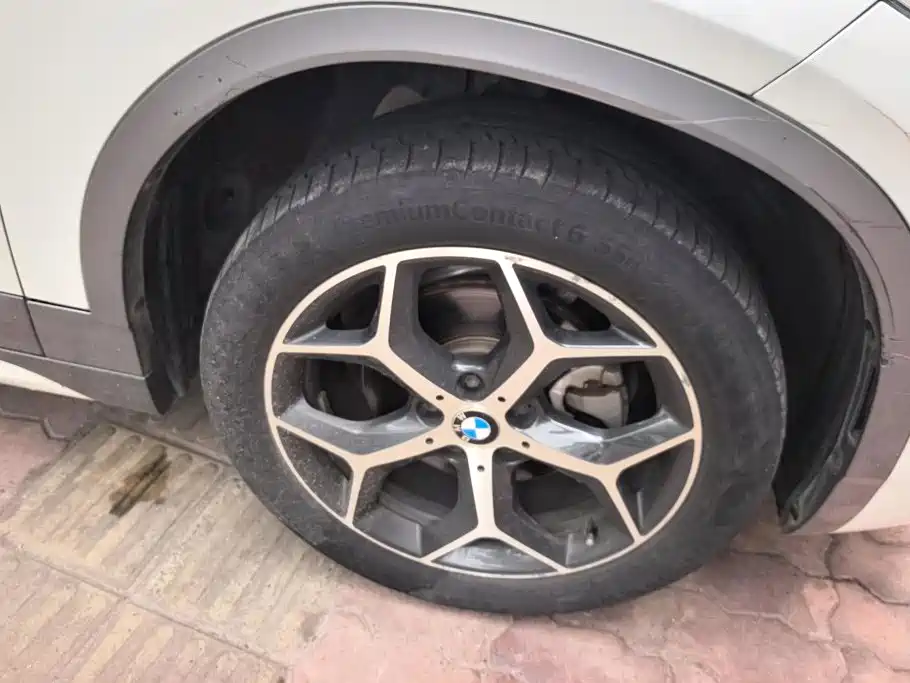 BMW X2 (Import) 2019 2019 sDrive20i M Off-Road Package China VI