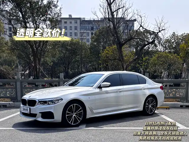 BMW 5 SERIES