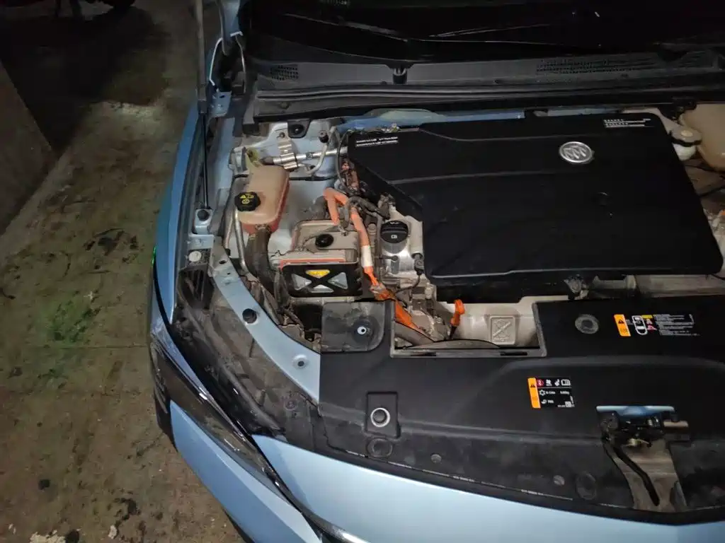 Photo 20 - Buick Velite 6