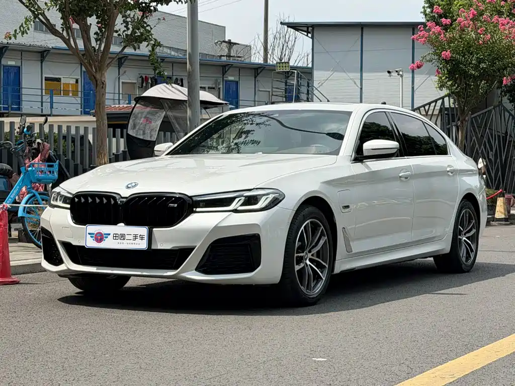 BMW 5 Series New Energy 2022