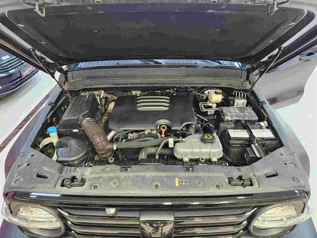 Tank 300 2023 Off-Road Edition 2.0T Conqueror фото 16