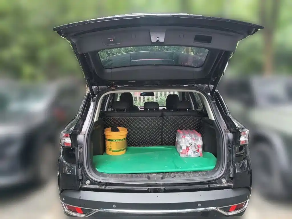 Dongfeng Aeolus Dongfeng Fengshen AX7 2019 2019 1.6T Automatic AI Pioneer (China V)
